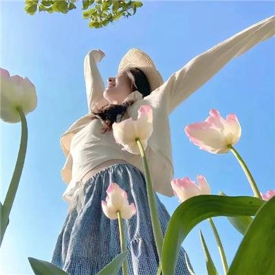神龙剑侠美人恩